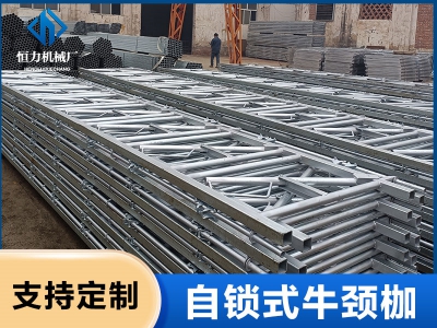 1000位牛頸枷發(fā)貨中