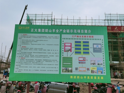 安徽萬只羊場建設(shè)規(guī)劃現(xiàn)場