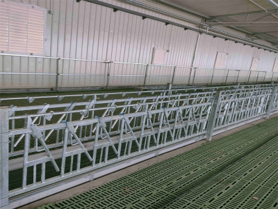 羊場(chǎng)用羊頸夾的作用解析