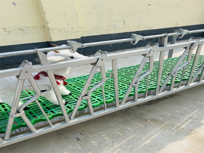  溫馨家庭的幸福時(shí)光：感受自在與平和的每一天