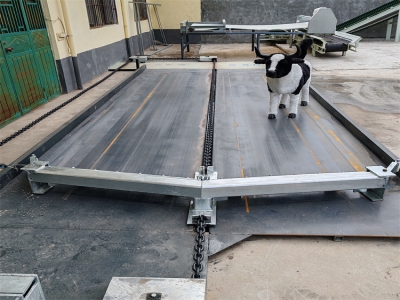 《牛場(chǎng)清糞機(jī)：無需人工清糞的時(shí)代》