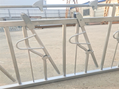 使用自鎖式羊頸夾時(shí)更好的減少羊只的應(yīng)激反應(yīng)