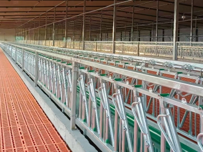 自鎖式羊頸夾與普通羊頸夾相比，在實際養(yǎng)殖作業(yè)中的優(yōu)勢