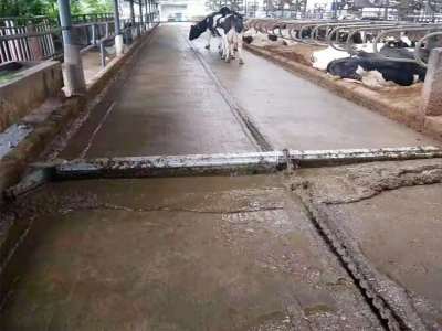 牛場清糞機(jī)