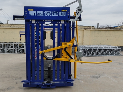 牛用保定枷的結(jié)構(gòu)設(shè)計(jì)與功能解析   